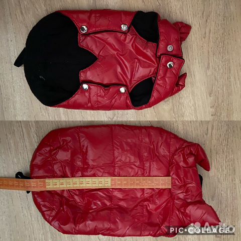 Одежда для собак