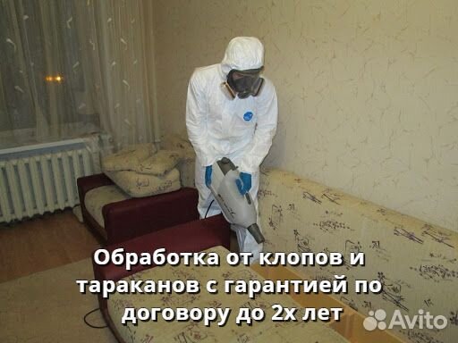 Уничтожение клопов тараканов блох обработка Уничтожение клопов тараканов блох обработка