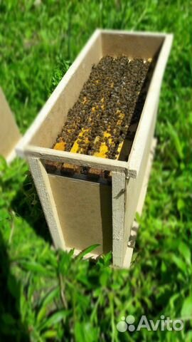 Пчёлопокеты купить на Зозу.ру - фотография № 1