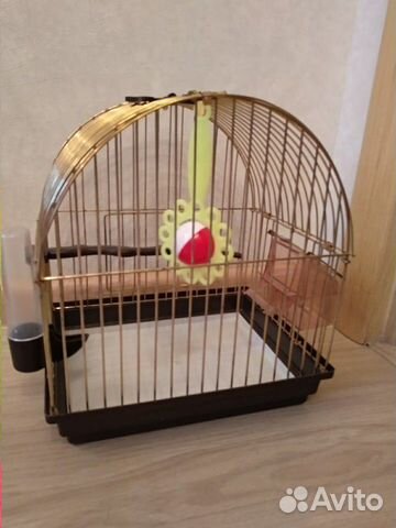 Клетка для волнистого попугая со всеми причиндалам купить на Зозу.ру - фотография № 4
