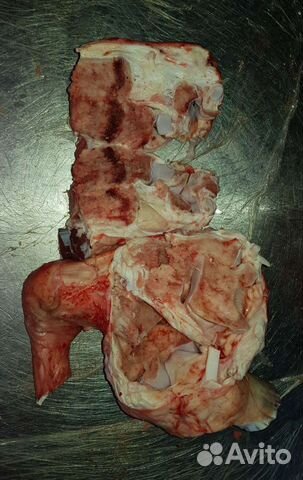 Путовые суставы верха голяшек