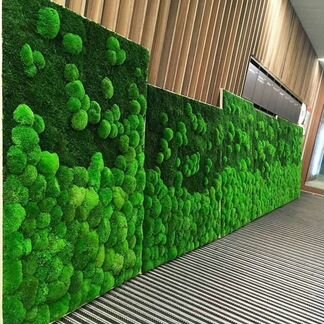 Панно кочки пластовой мох плоский фитокартина