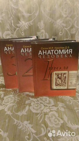 Анатомия человека