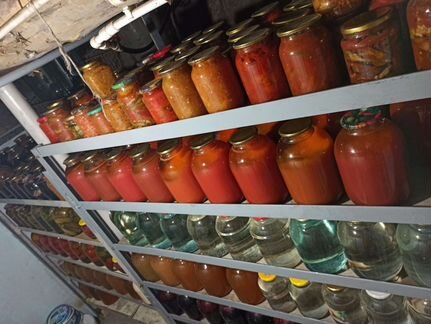 Домашние соленья, яица, овощи, грибы