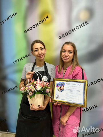 Курс Груминг с нуля Обучение стрижки собак и кошек