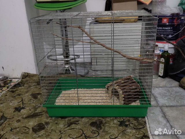 Большая клетка