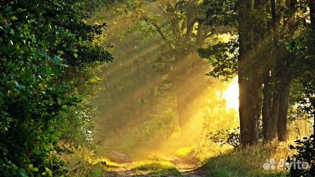 Поиск земельного участка Кадастровые работы