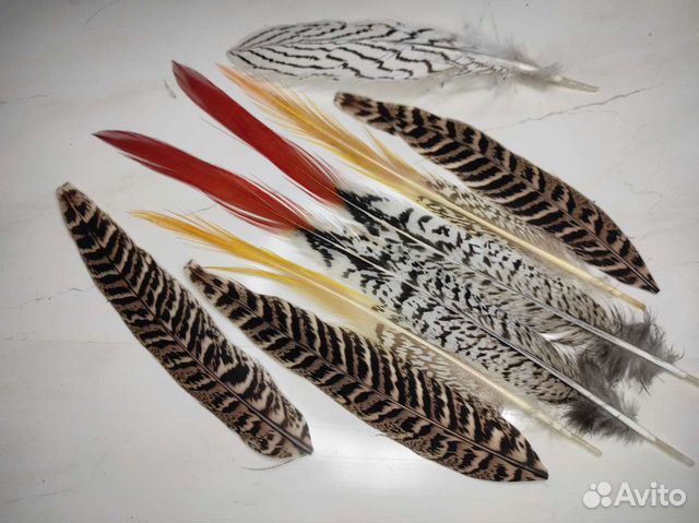 Перья для творчества