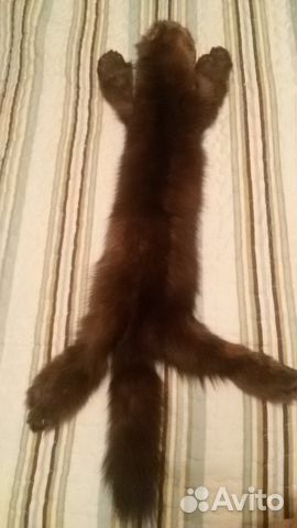 Шкурка соболя и норковое манто