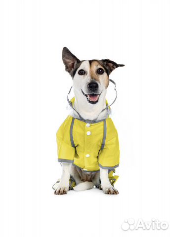 Одежда для собак дождевик