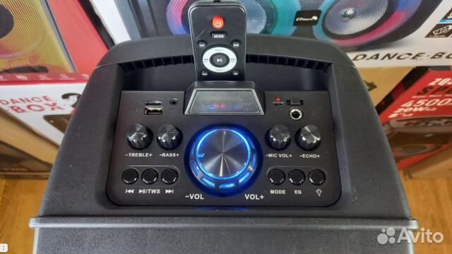 Колонка с беспроводным микрофоном