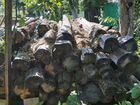 Бревна липы на дрова объявление продам