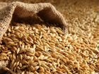 Зерно пшеница ячмень объявление продам