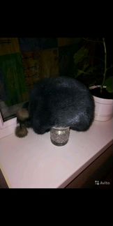 Шапка женская норковая