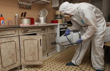 Дезинфекция Дезинсекция Дератизация