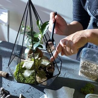 Групповые мастер-классы по флорариумам