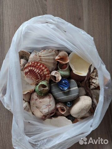 Для аквариума ракушки