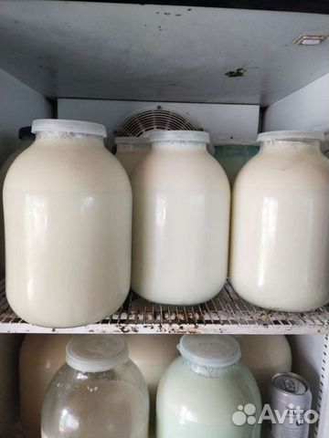 Молоко коровье домашнее и сметану творог масло