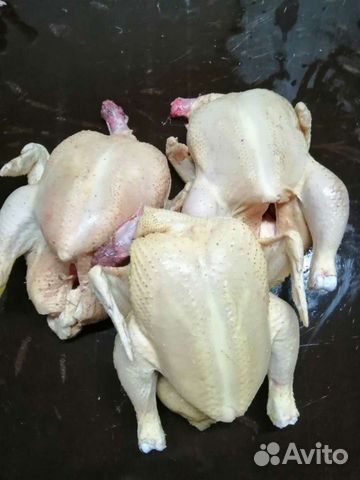 Продаю домашнюю курочку бройлер