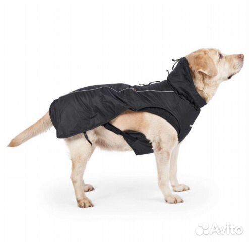 Зимние попоны продажа