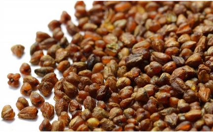 Темный гречишный чай «ку цяо»