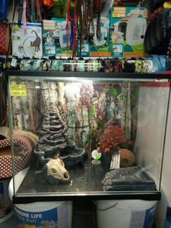 Террариумы в наличии и под заказ