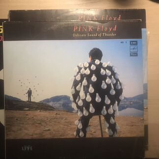 Pink Floyd 2Lp