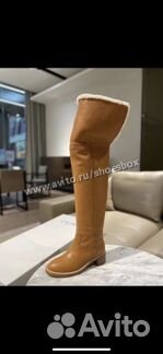Ботфорты селин рыжие