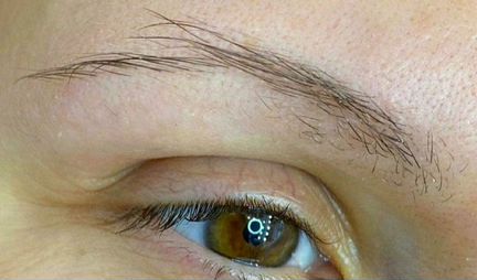 Услуги Бровиста