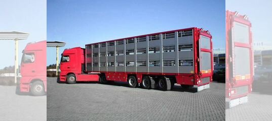 Авито старый оскол вакансии водителей. Авито старый оскол официальный сайт. Авито старый оскол вакансии водителей. Работа ру старый оскол. Полуприцеп-скотовоз одаз-857б.