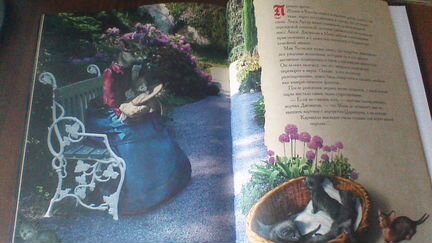 Книга Тень кота - вампира