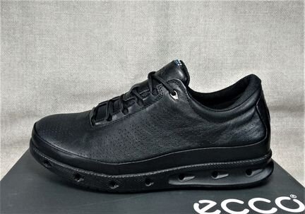 Ecco cool