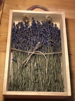 Высушенная лаванда