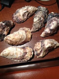 Ракушки б/у