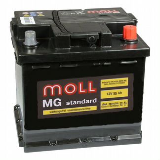 Аккумулятор Moll MG Standart 55 Ач 480А (L1)