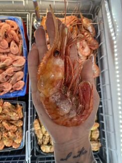 Морепродукты