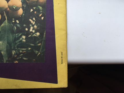 Журнал садоводство 1963 год